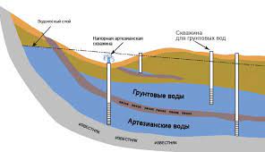 Без названия.jpg