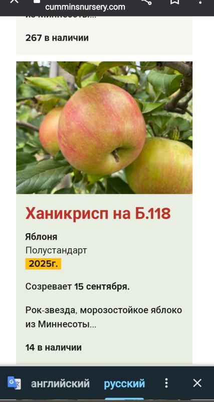 Screenshot_20240108-160523_Chrome.jpg