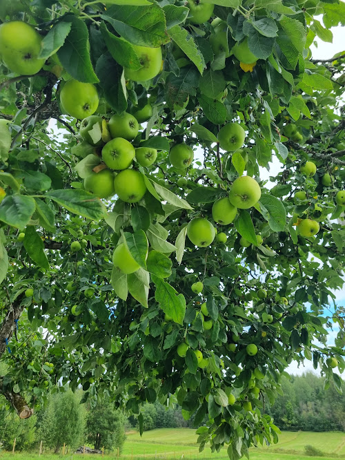 20230820_162526.jpeg