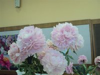 DSC03915 (Small).JPG