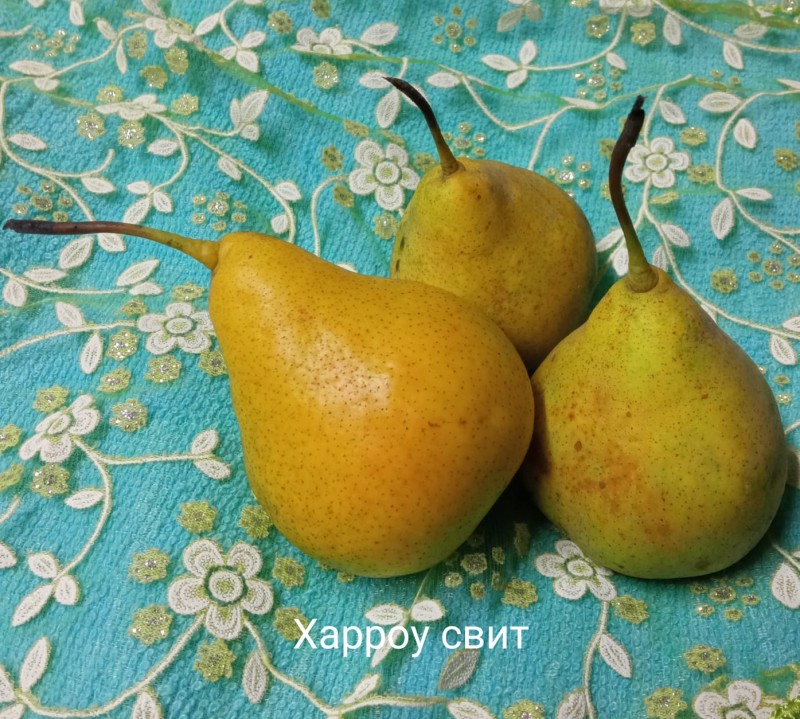 7 ноября