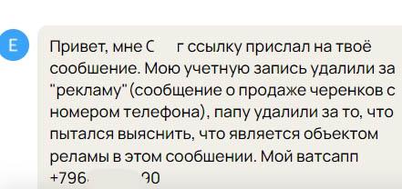 Егор-Лето.jpg