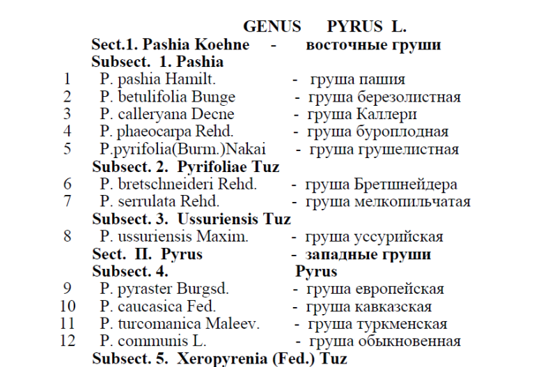 Класификор.PNG