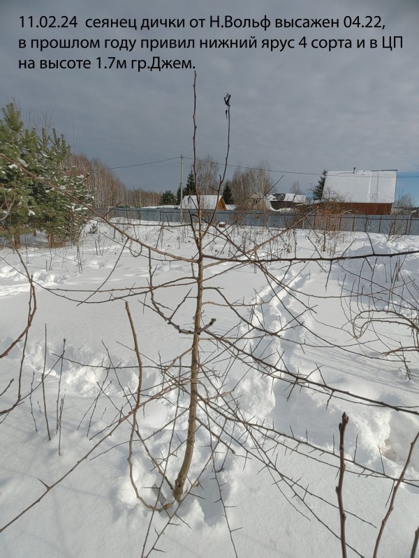 IMG_20240211_125432.jpg