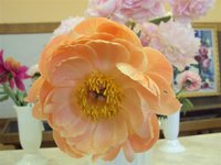 DSC03917 (Small).JPG