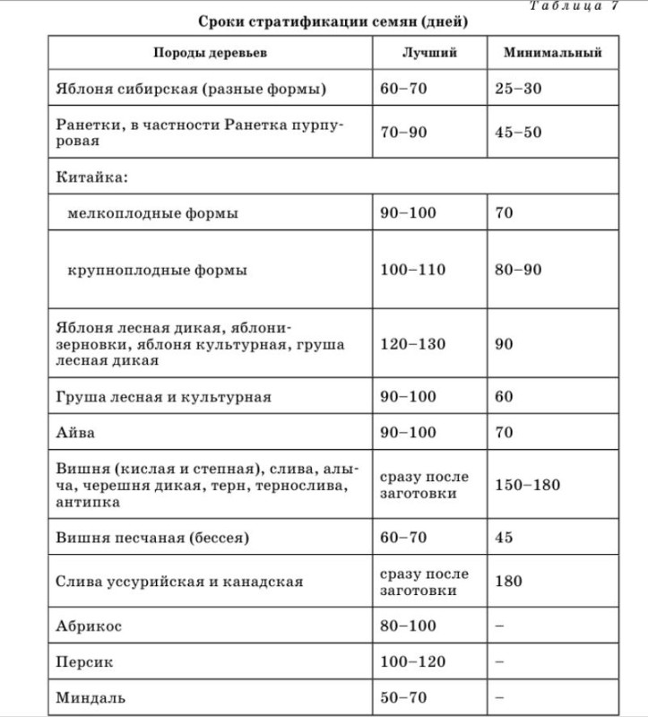 стратификация.jpg