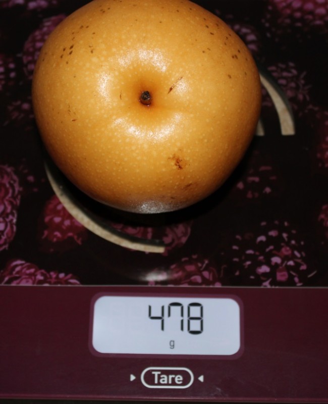 1234.jpg