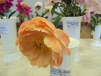 DSC03918 (Small).JPG