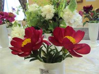 DSC03922 (Small).JPG