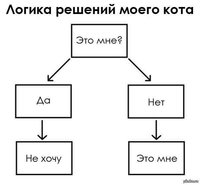 коты2.jpg