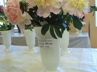 DSC03927 (Small).JPG