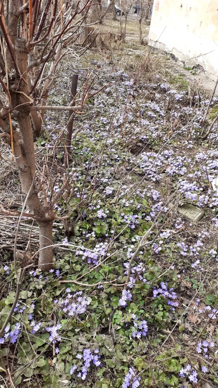 В городе (03.04.2024)
