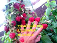 2014-10-16 12.03.41.jpg