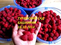 IMG_6928.JPG