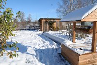 DSC_1198.jpg