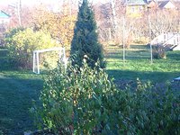 IMG_6188.jpg