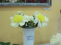 DSC03936 (Small).JPG