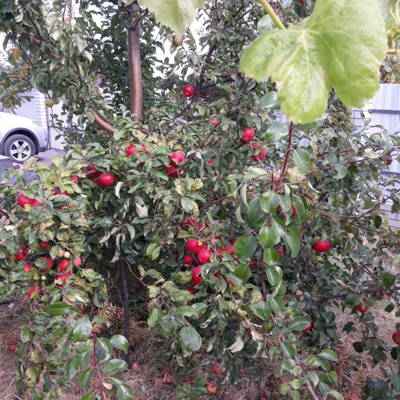 20200930_120522.jpg