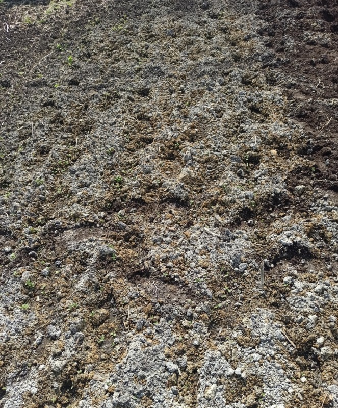 Image 1.jpg