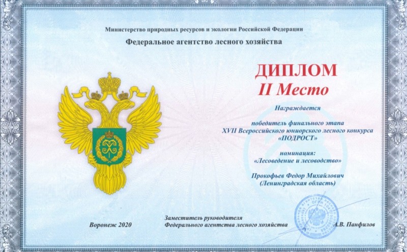 диплом.jpg
