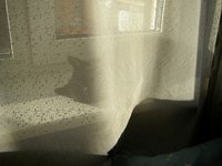 P1010037-2.jpg