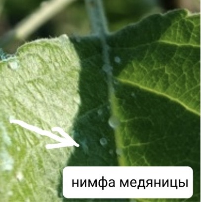 IMG_7945.jpeg