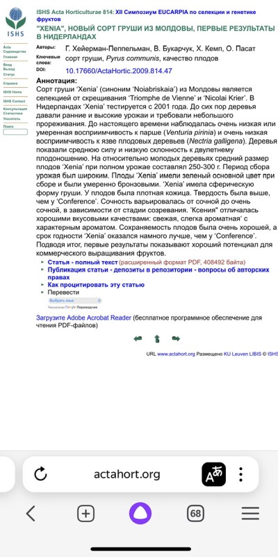 IMG_7949.jpeg