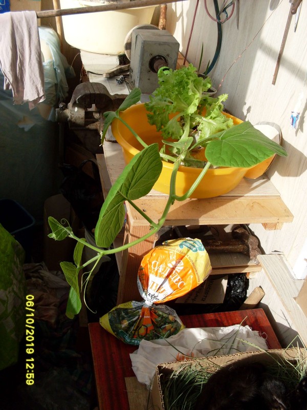 SDC13865.JPG