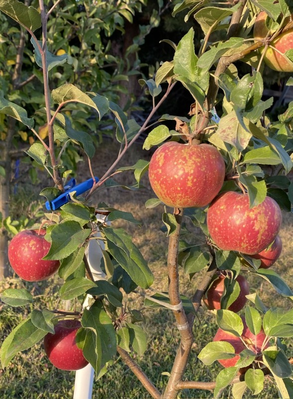 IMG_6404.jpeg