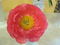 DSC03941 (Small).JPG