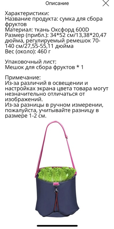 IMG_7990.jpeg