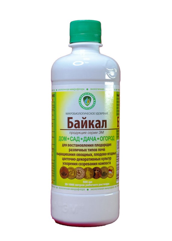 Байкал_ЭМ-1.jpg