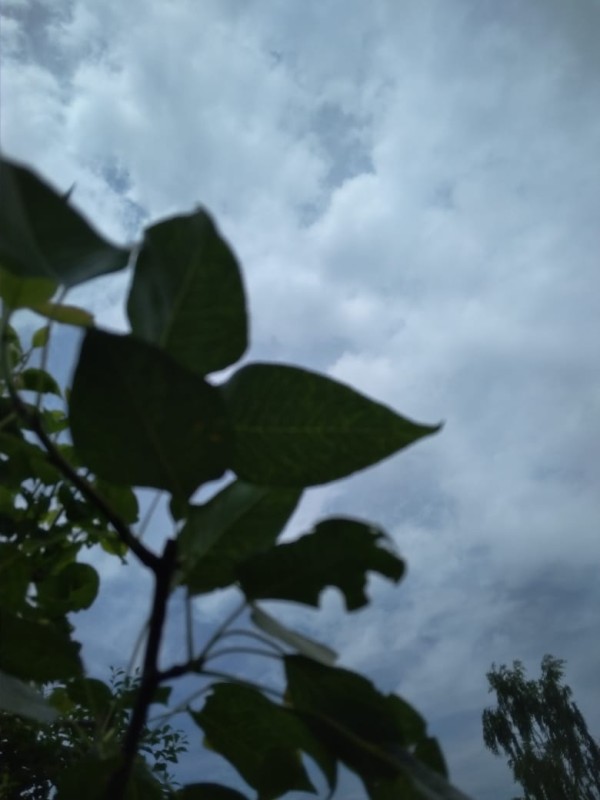 7b3cdf35-c916-4315-979e-f833cd349834.jpg
