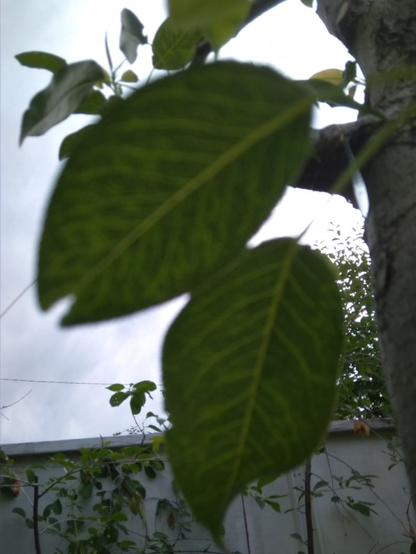 719b3f4e-7d38-41c2-822b-cc074c30bcde.jpg