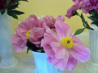 DSC03943 (Small).JPG
