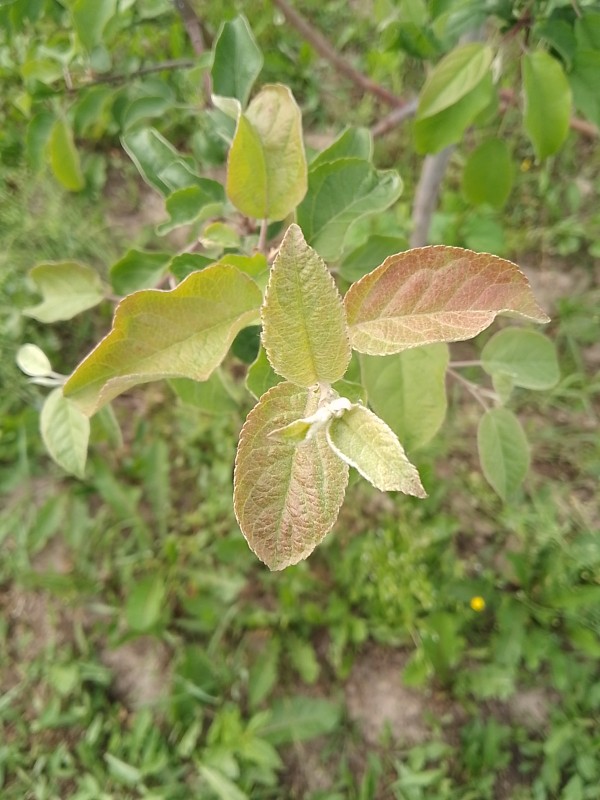 2024-06-10_17-11-19.jpg