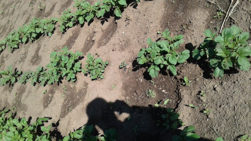 20240609_075049.jpg