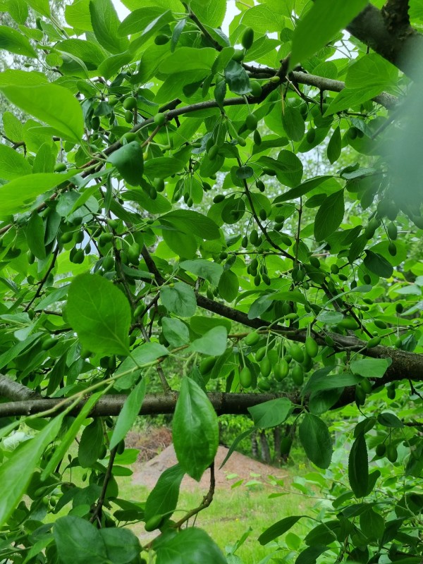 20240610_172025.jpg