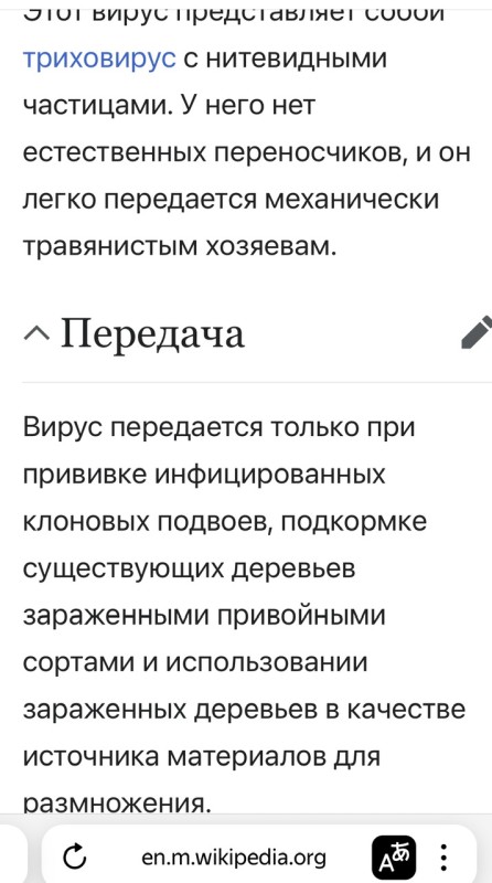 IMG_8075.jpeg