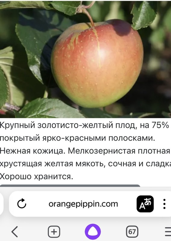 IMG_8083.jpeg