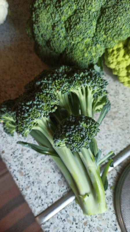 IMG-20240617-WA0034.jpeg