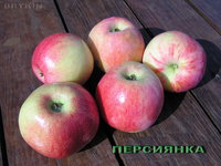 Персиянка