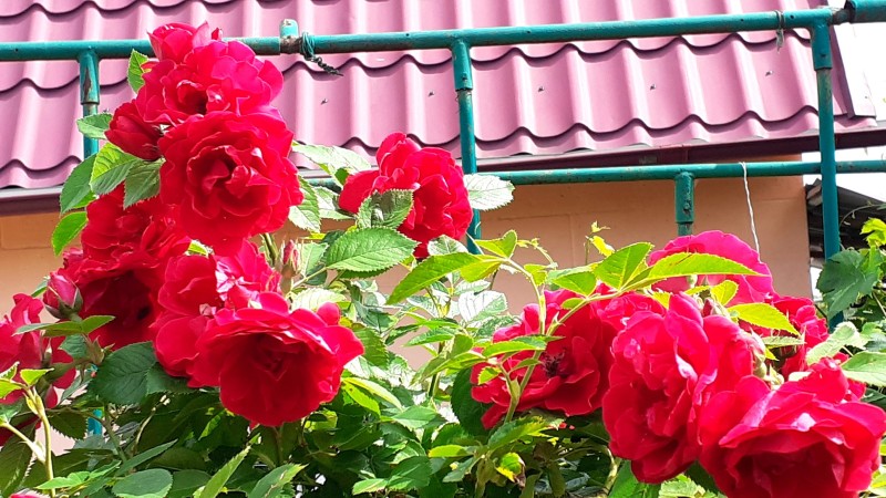 20240620_135805.jpg