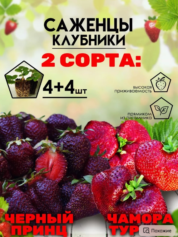 Скриншот (05.07.2024 12-01-59).jpg
