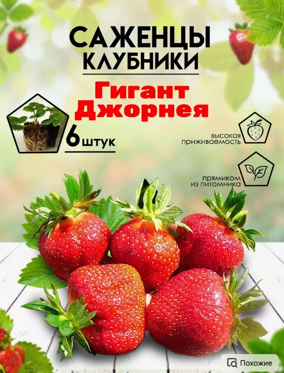Скриншот (05.07.2024 12-08-30).jpg