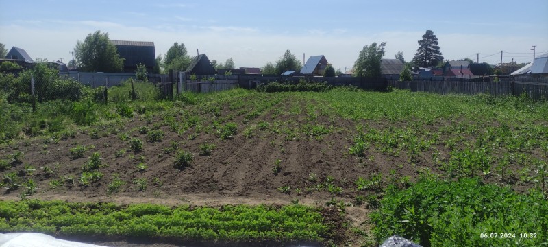 IMG_20240706_103223.jpg