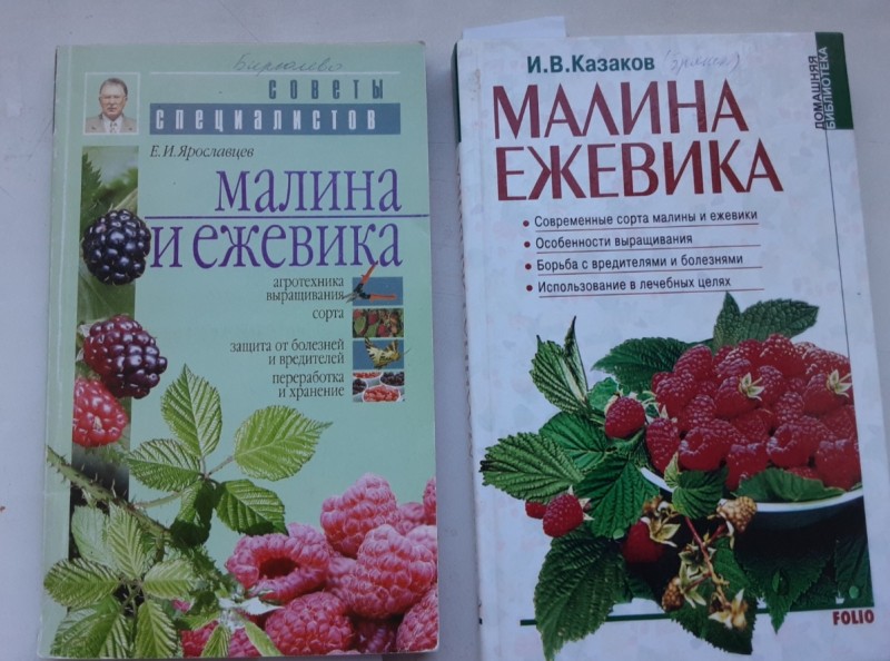 Screenshot_20240711-185340_Gallery.jpg