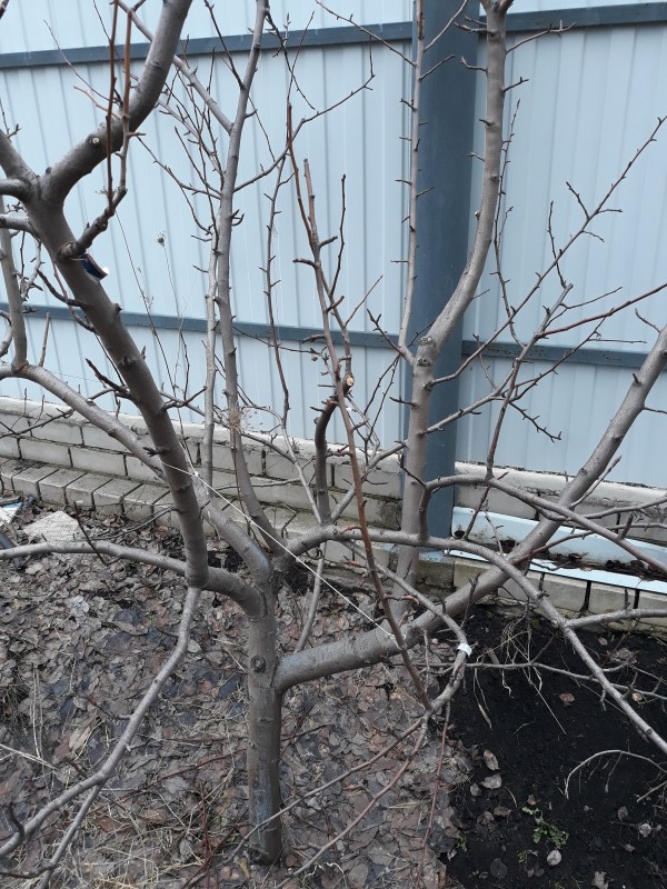 20190323_171314.jpg