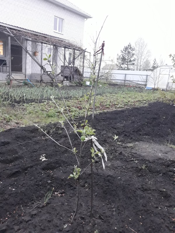 20190501_193224.jpg