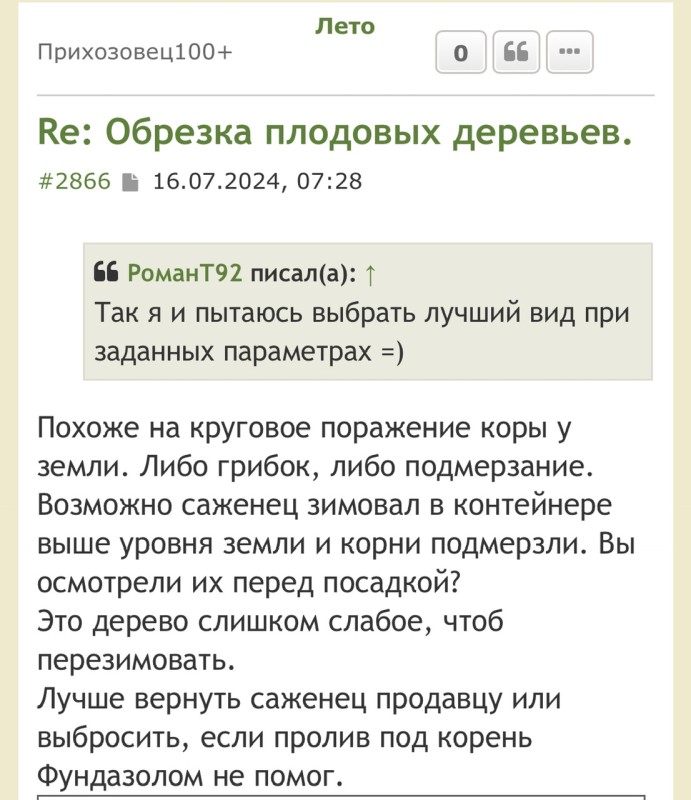 IMG_8243.jpeg